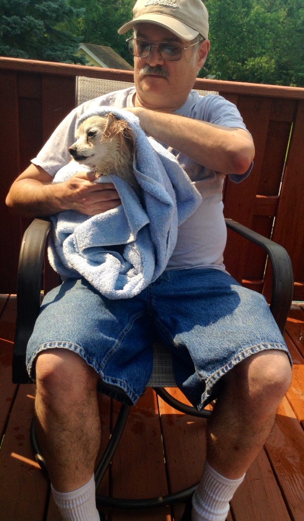 Chester being dried off after his bath