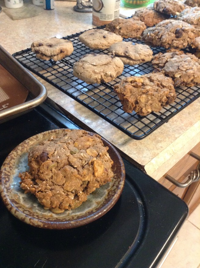 Breakfast Cookies Breakfast Cookies