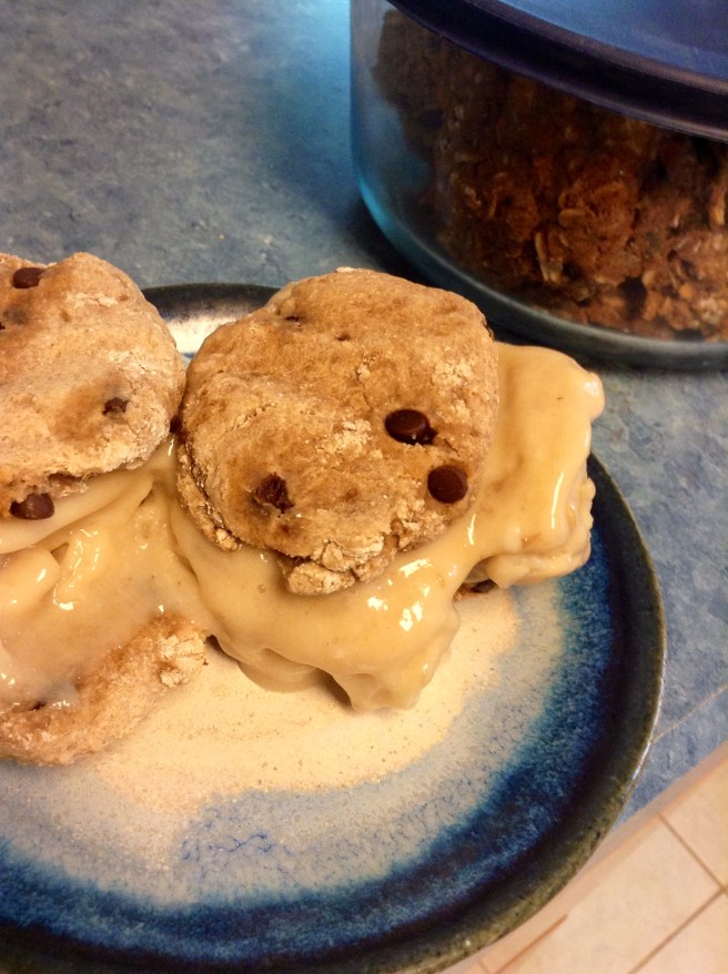 Blogilates Healthy Ice Cream Sandwich