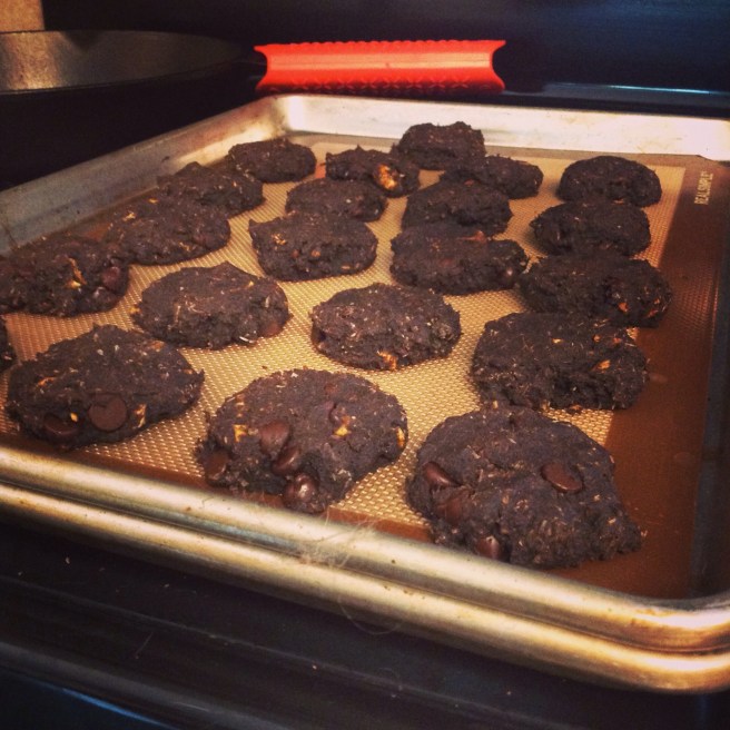 Double Chocolate Plaintaain Cookies