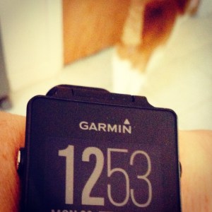 Garmin Vivoactive