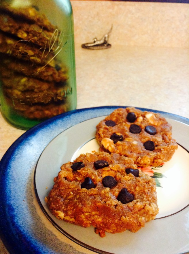 S'mores Protein Cookies