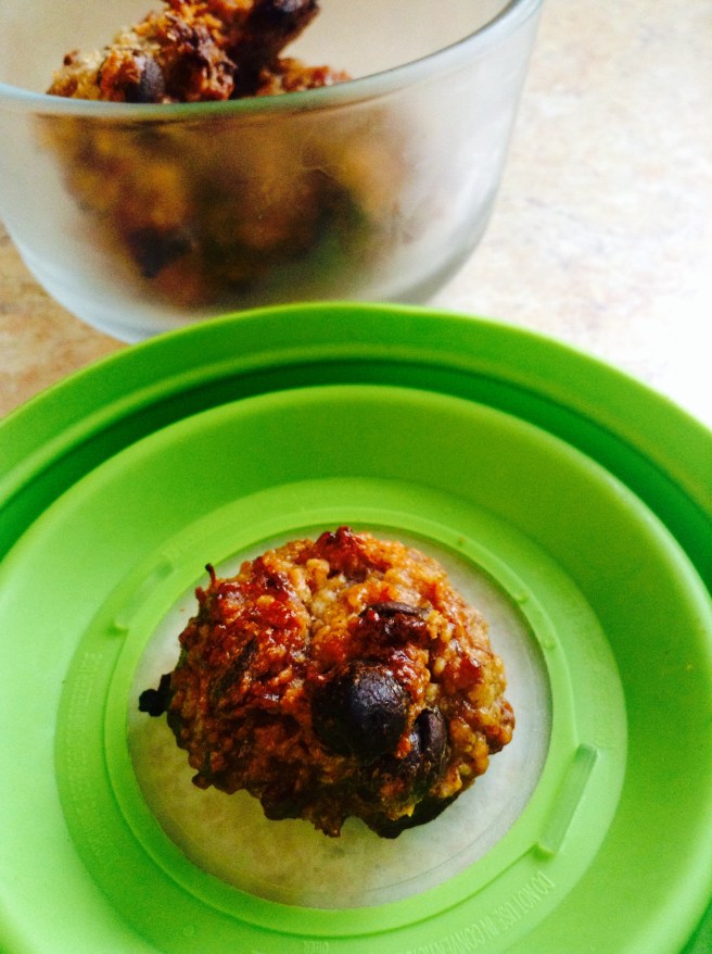 Oatmeal cookies for the dogs