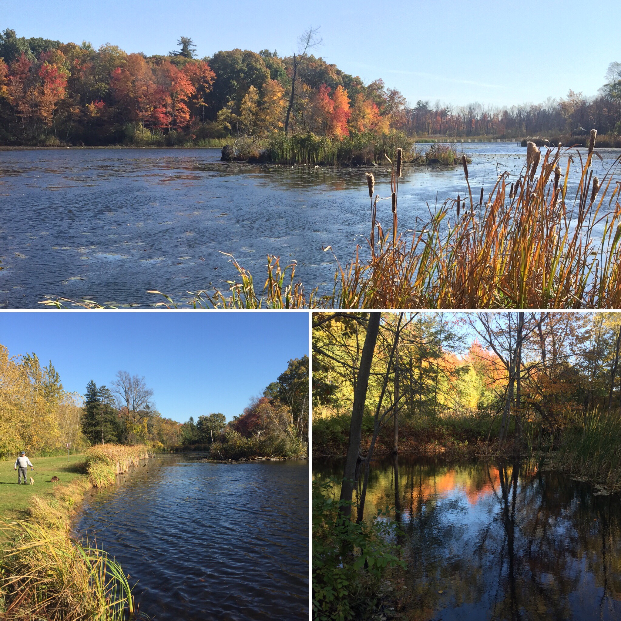 99ff5f57-0f7a-46a0-8cf8-377f4adc03bb